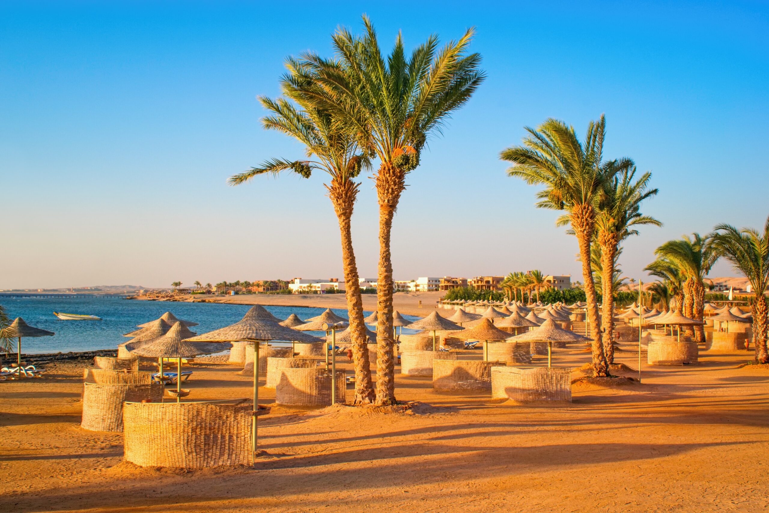 Idylic,Beach,With,Palms,And,Sun,Umbrelas,,Red,Sea,,Egypt